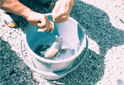 釣りの様子